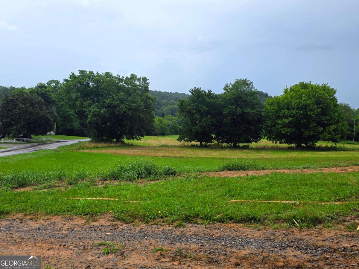 2490 New Hope Road, Unit 3 Morganton, GA 30560 - Photo 4 of 5