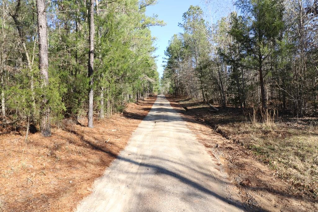 2390 Martintown Road Clarks Hill, SC 29821 - Photo 1 of 11 Main View