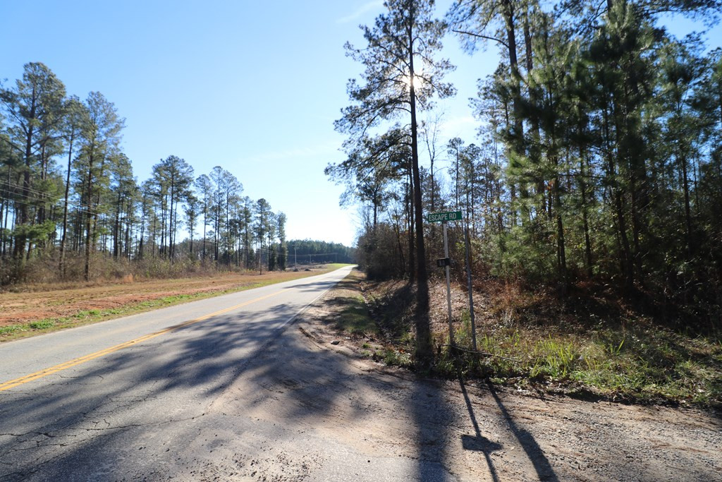 2390 Martintown Road Clarks Hill, SC 29821 - Photo 3 of 11