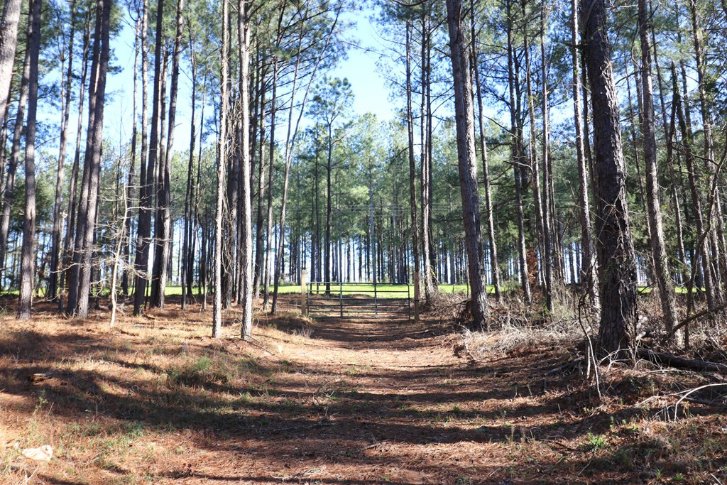 2390 Martintown Road Clarks Hill, SC 29821 - Photo 5 of 11