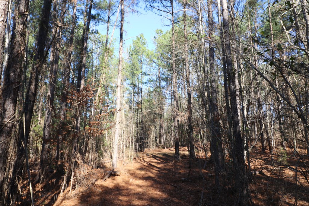 2390 Martintown Road Clarks Hill, SC 29821 - Photo 7 of 11