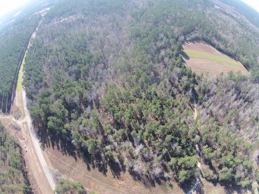 2390 Martintown Road Clarks Hill, SC 29821 - Photo 10 of 11