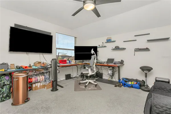 a view of a house with a yard and a large tree