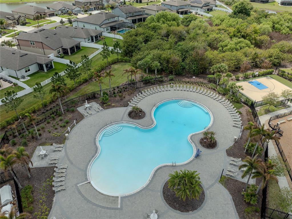 11701 Brighton Knoll Loop Riverview, FL 33579 - Photo 63 of 70 an aerial view of a swimming pool and outdoor space