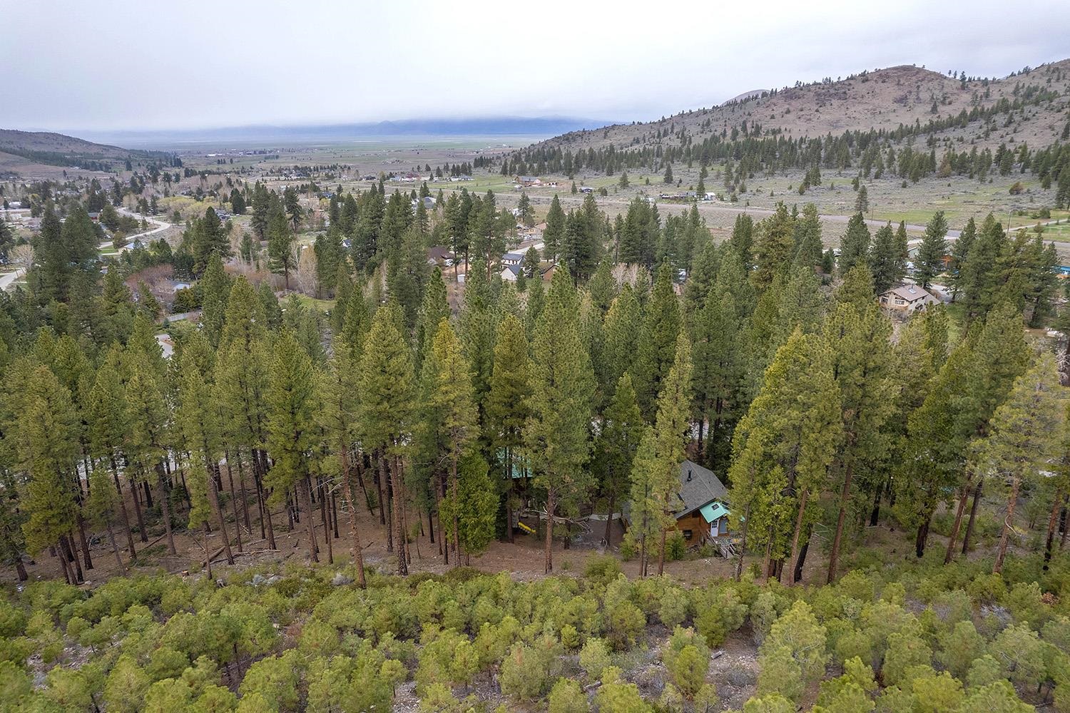 626 Bear Valley Road Loyalton, CA 96118 - Photo 3 of 39 a view of lake with mountain