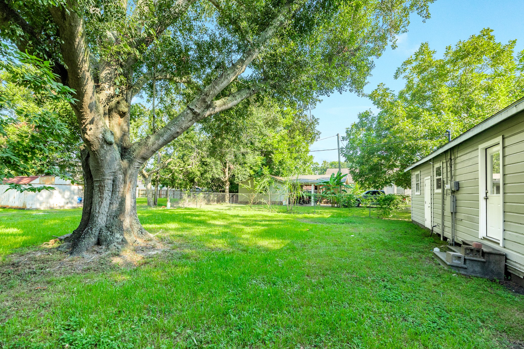 840 South Morgan Street Angleton, TX 77515 - Photo 28 of 28 a view of a backyard with large trees