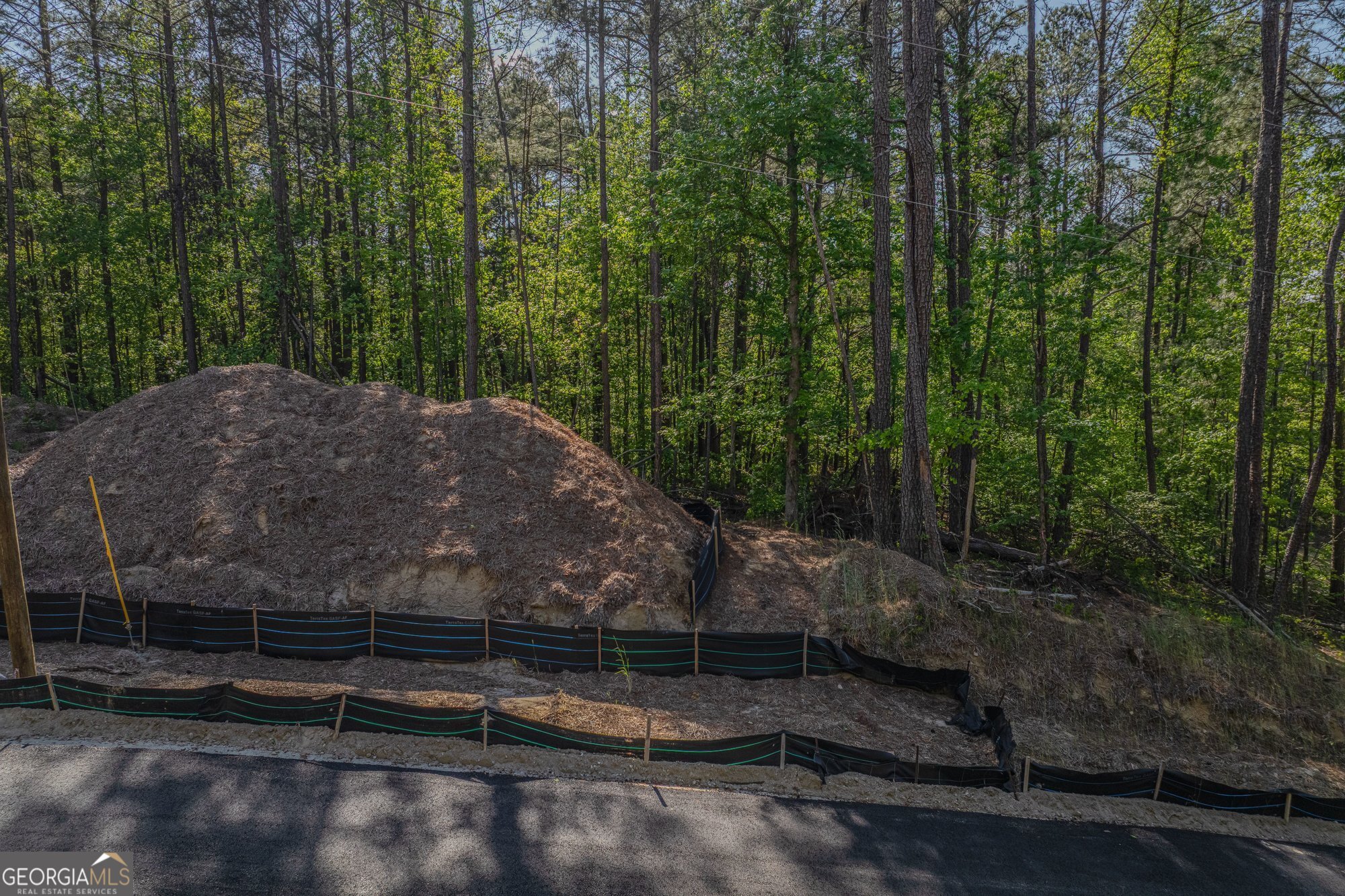 1559 Whitley Road Dacula, GA 30019 - Photo 28 of 33 a view of backyard with green space