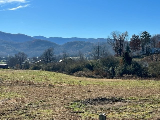 3 Burns Road Sevierville, TN 37862 - Photo 5 of 19