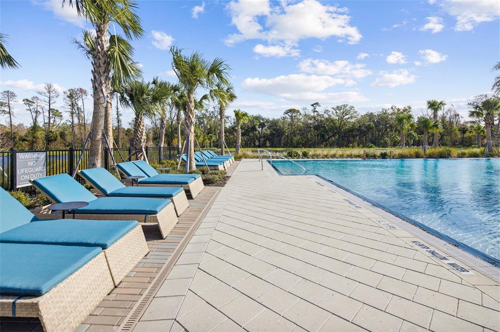 2116 Celebration Boulevard Celebration, FL 34747 - Photo 38 of 45