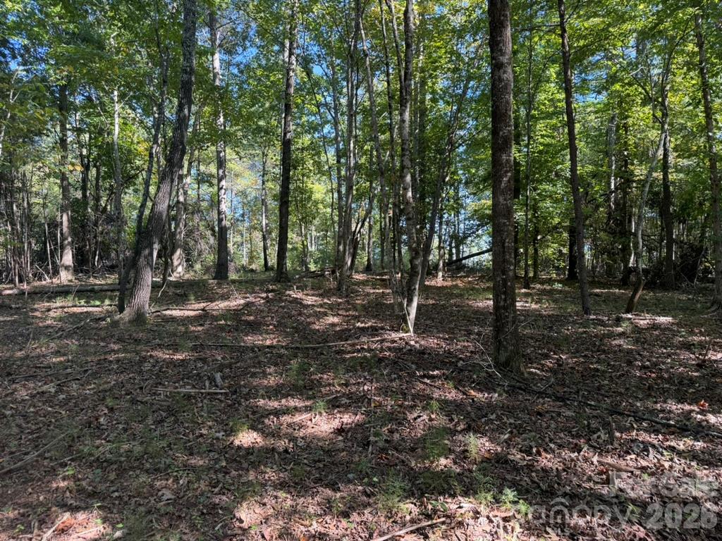 3523 Pax Hill Road Morganton, NC 28655 - Photo 4 of 14 Gallery Image 4
