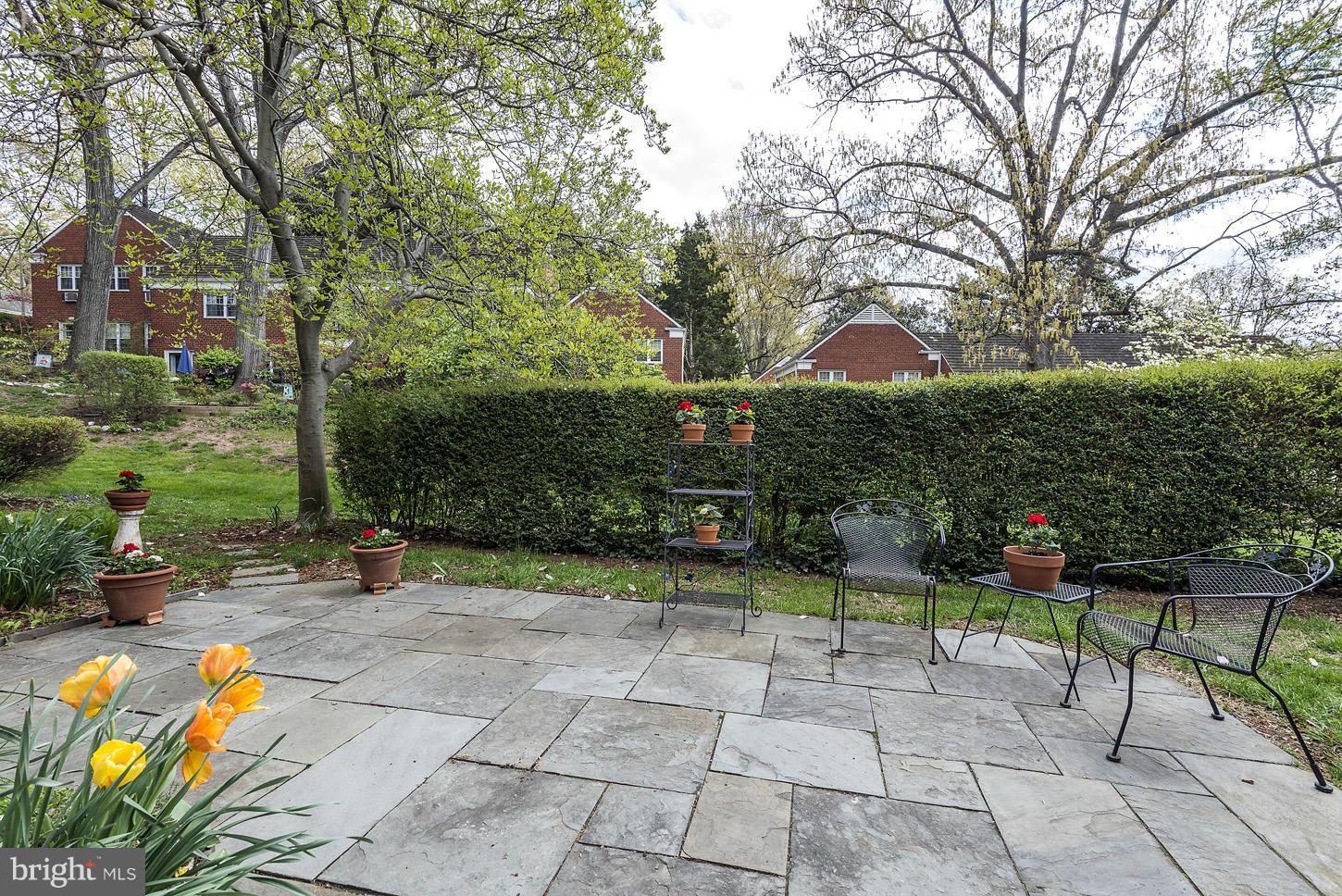 1729 Preston Road Alexandria, VA 22302 - Photo 7 of 25 Exterior (Rear)