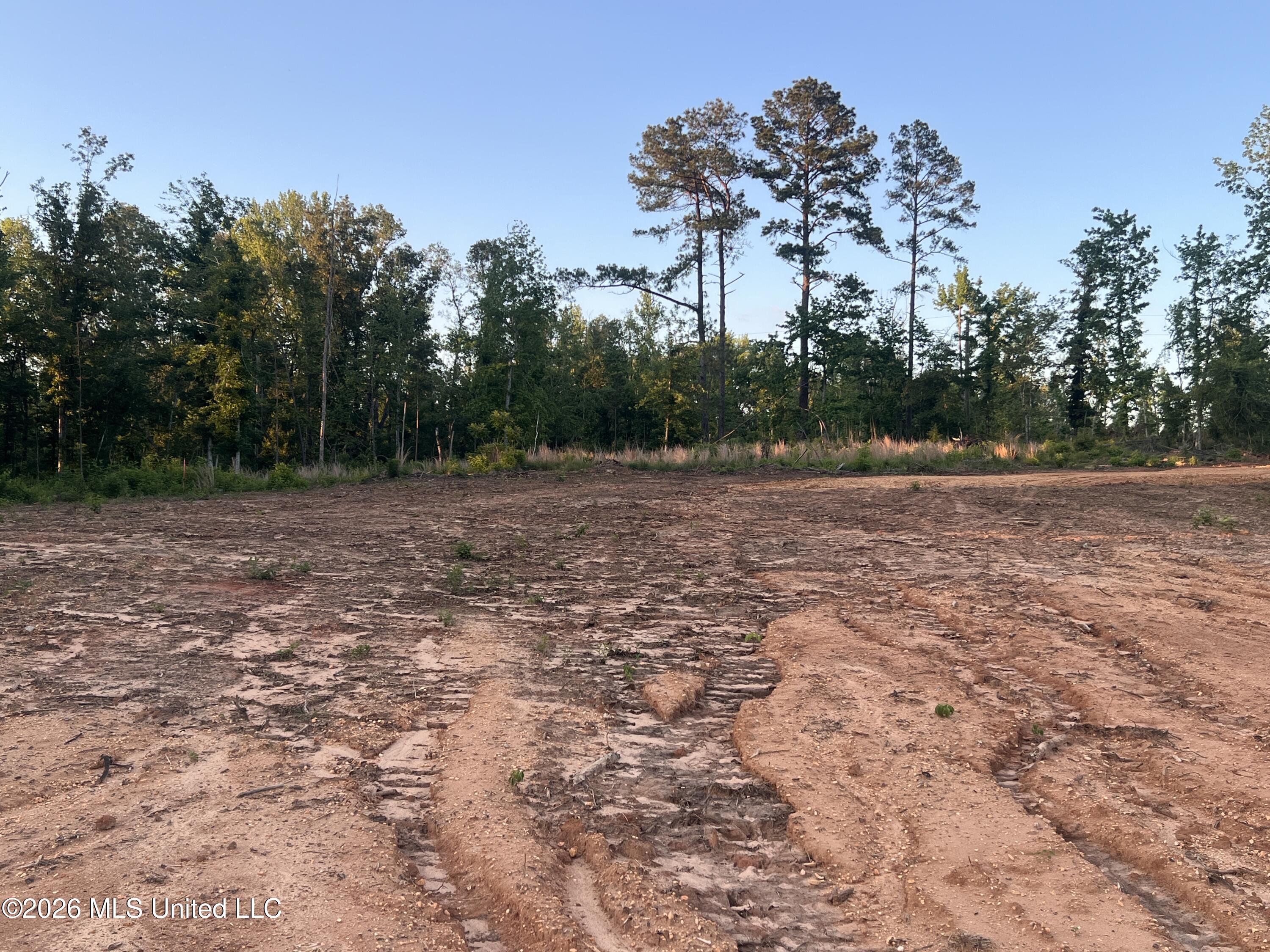 5734 Hebron Road Liberty, MS 39645 - Photo 8 of 32 8.