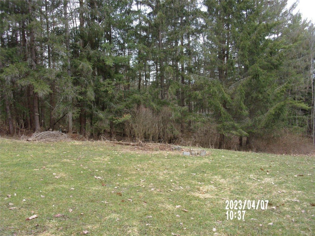 311 Brooks Road Binghamton, NY 13905 - Photo 4 of 32 Gallery Image 4
