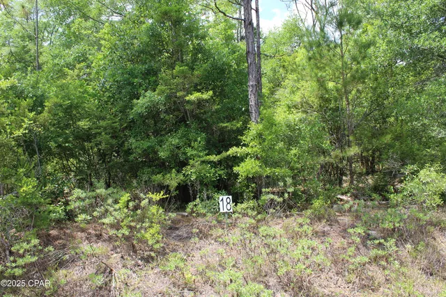$35,000 | Lot 18 Arnone Lane, Chipley, FL 32428