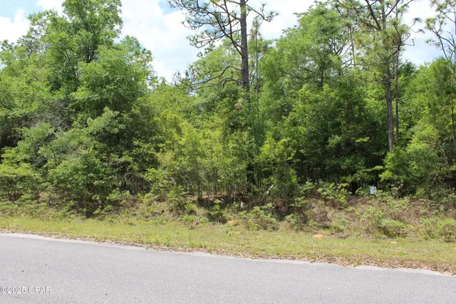 $35,000 | Lot 18 Arnone Lane, Chipley, FL 32428