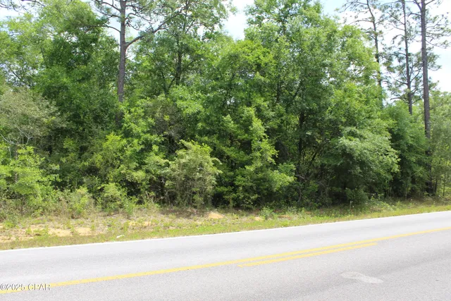 $35,000 | Lot 18 Arnone Lane, Chipley, FL 32428