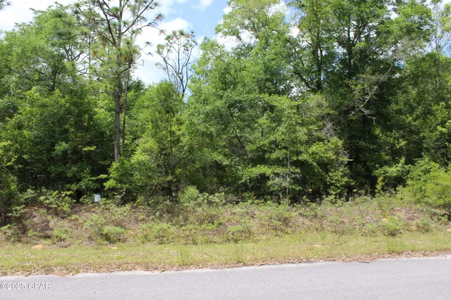 $35,000 | Lot 18 Arnone Lane, Chipley, FL 32428