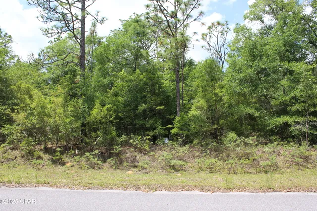 $35,000 | Lot 18 Arnone Lane, Chipley, FL 32428
