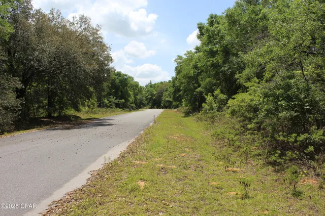 $35,000 | Lot 18 Arnone Lane, Chipley, FL 32428