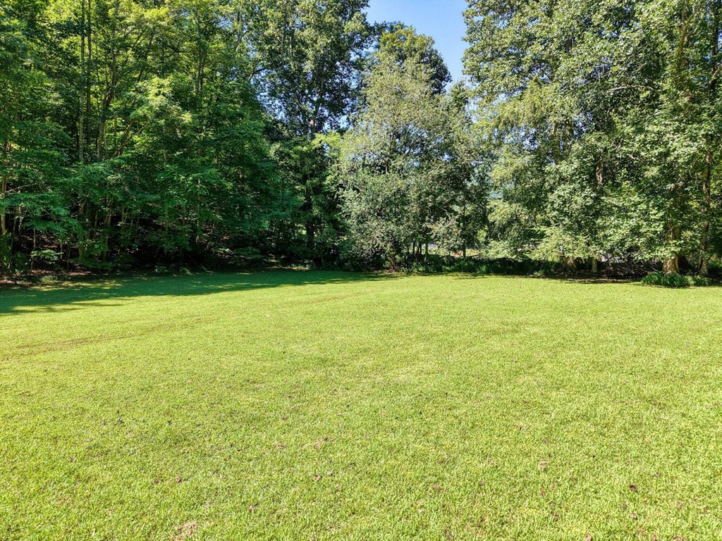 8088 Ivylog Gap Road Young Harris, GA 30582 - Photo 30 of 39 Gallery Image 30