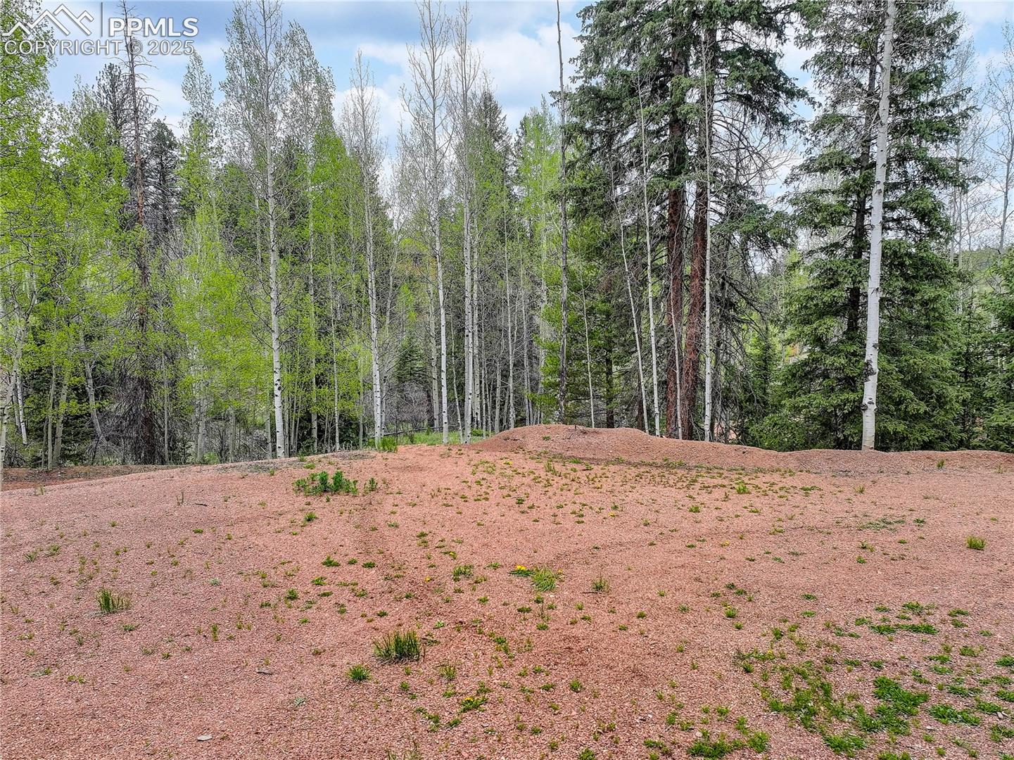 416 Willow Road Divide, CO 80814 - Photo 9 of 13 Spacious area ready for a dream home