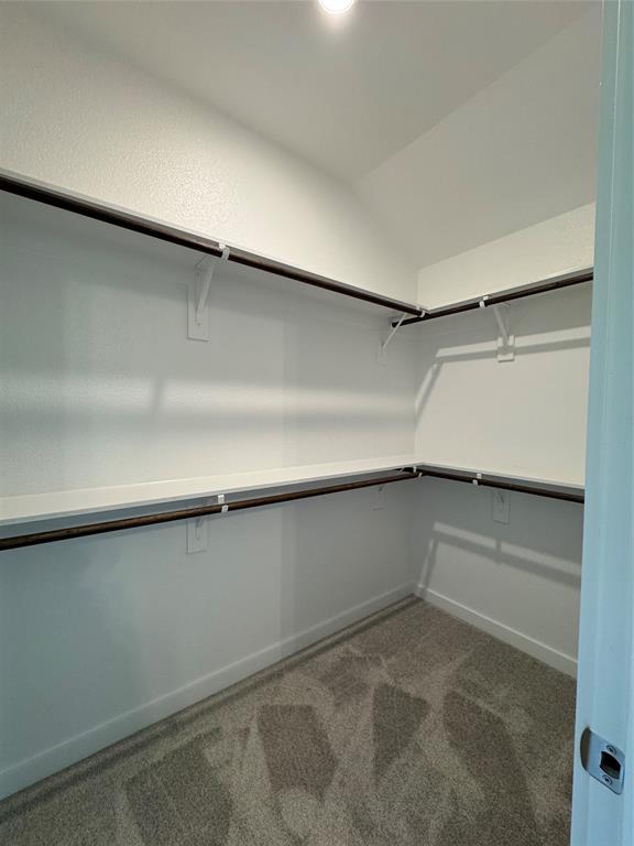 605 Finlee Way Tioga, TX 76271 - Photo 19 of 22 a view of an empty walk in closet