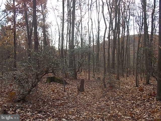 6577 Pigeon Hill Road Spring Grove, PA 17362 - Photo 3 of 5