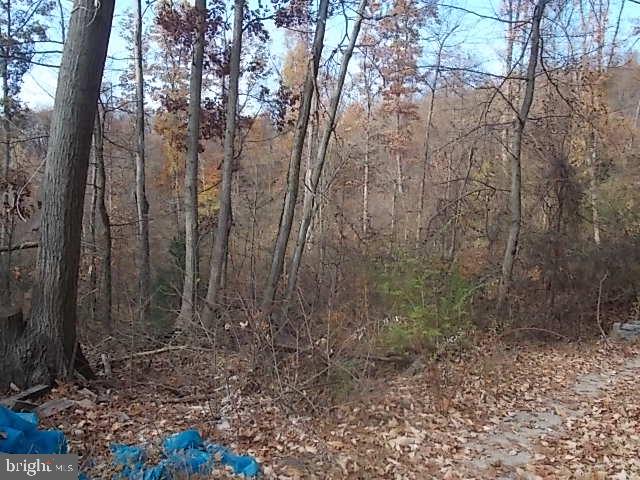 6577 Pigeon Hill Road Spring Grove, PA 17362 - Photo 4 of 5