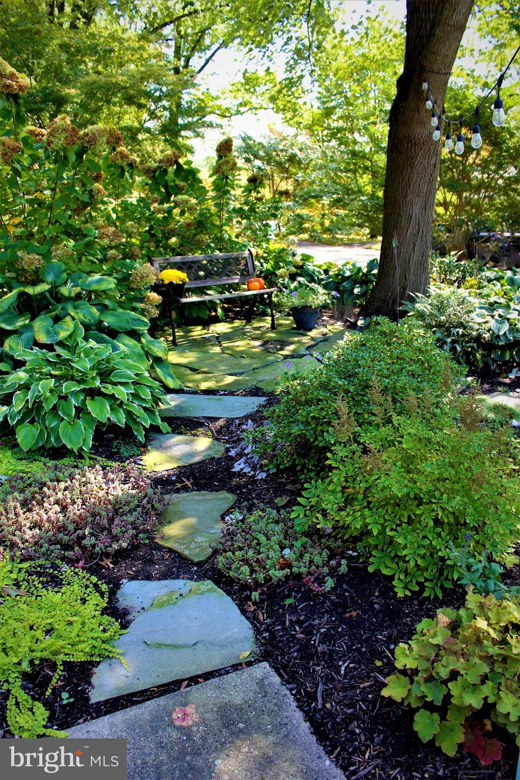 533 Fox Road Glenside, PA 19038 - Photo 5 of 30 GARDEN BENCH