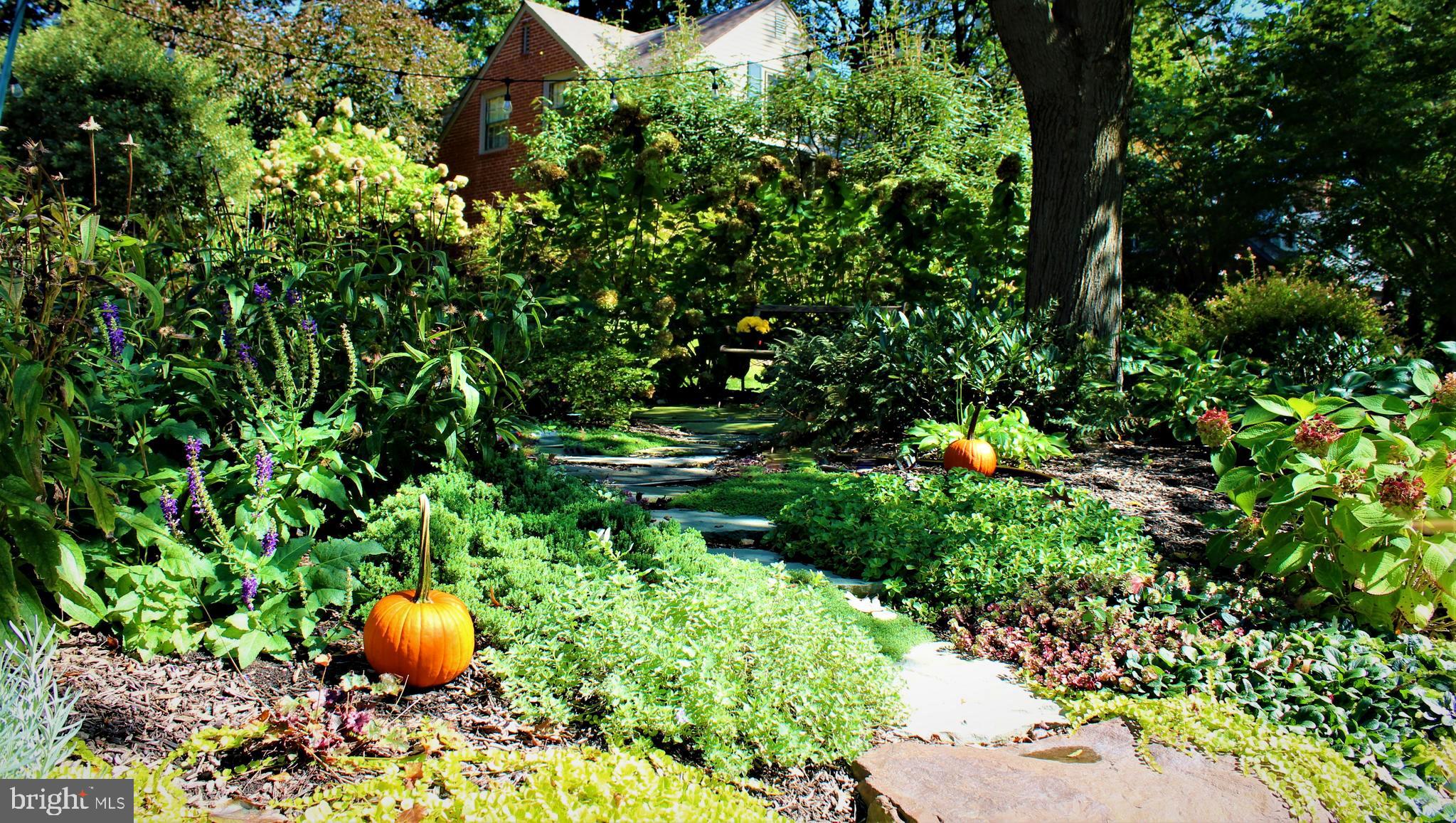 533 Fox Road Glenside, PA 19038 - Photo 6 of 30 GARDEN BENCH