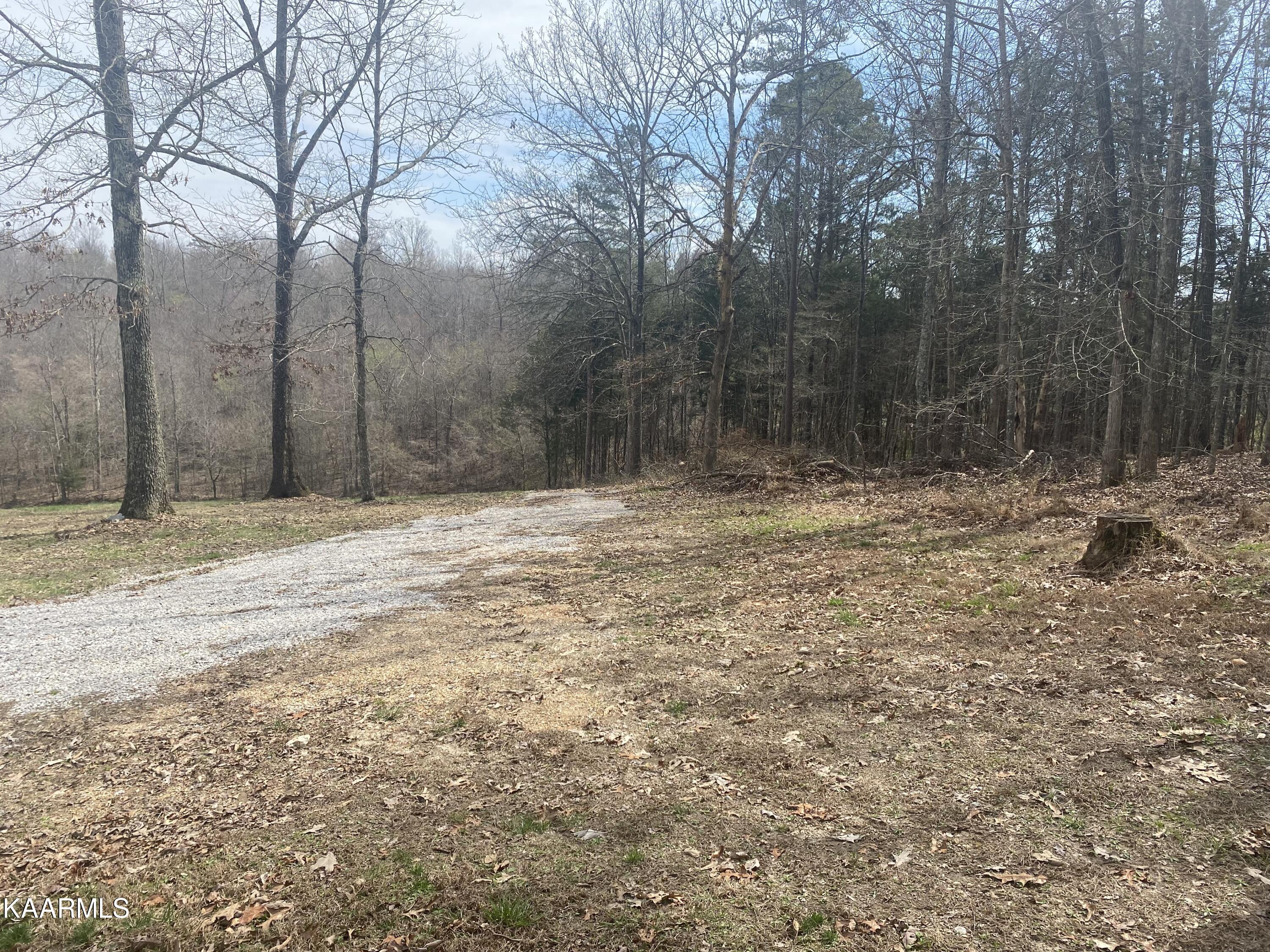 495 Myers Road Kingston, TN 37763 - Photo 11 of 28 IMG-3870