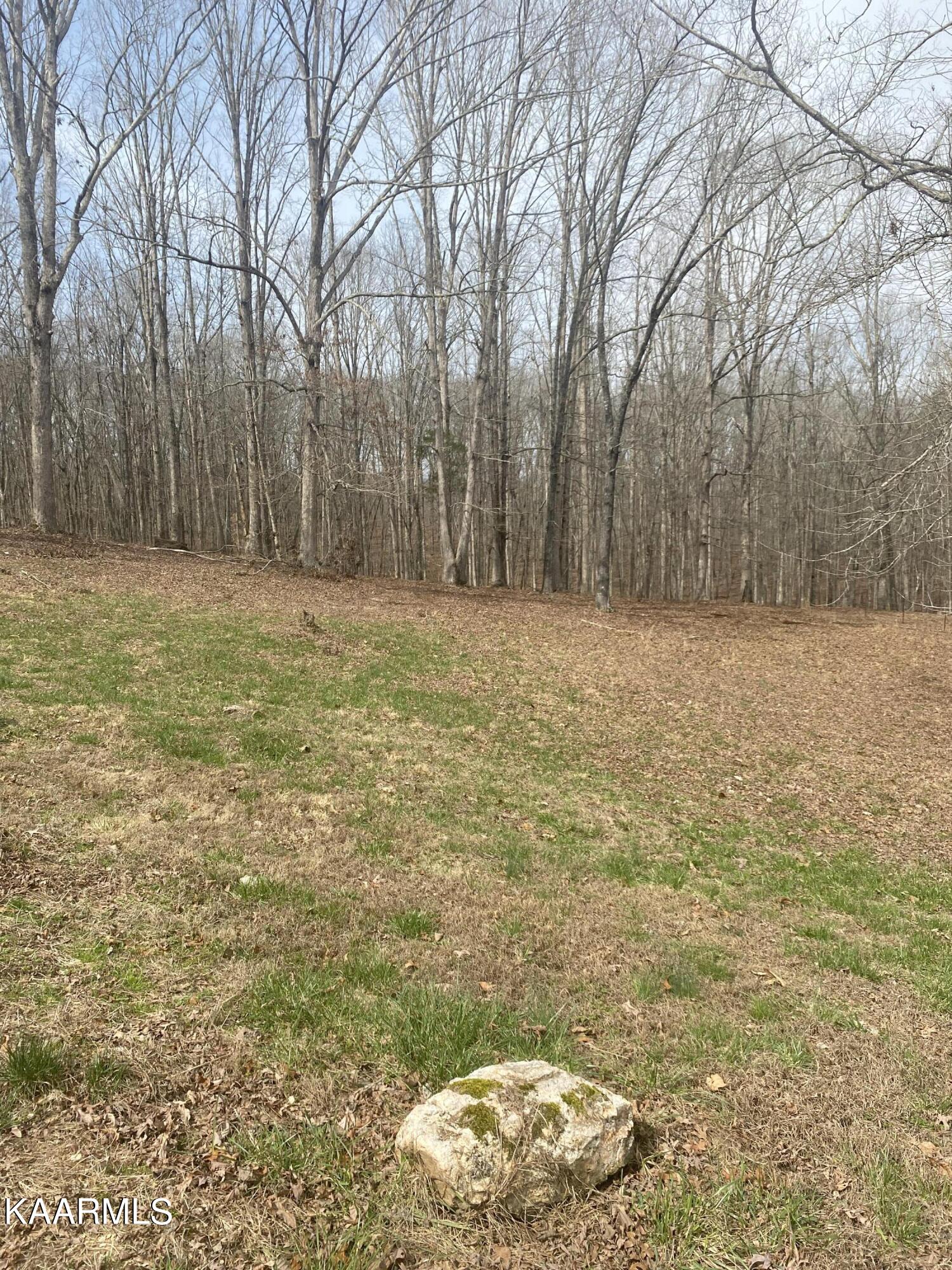 495 Myers Road Kingston, TN 37763 - Photo 12 of 28 IMG-3867