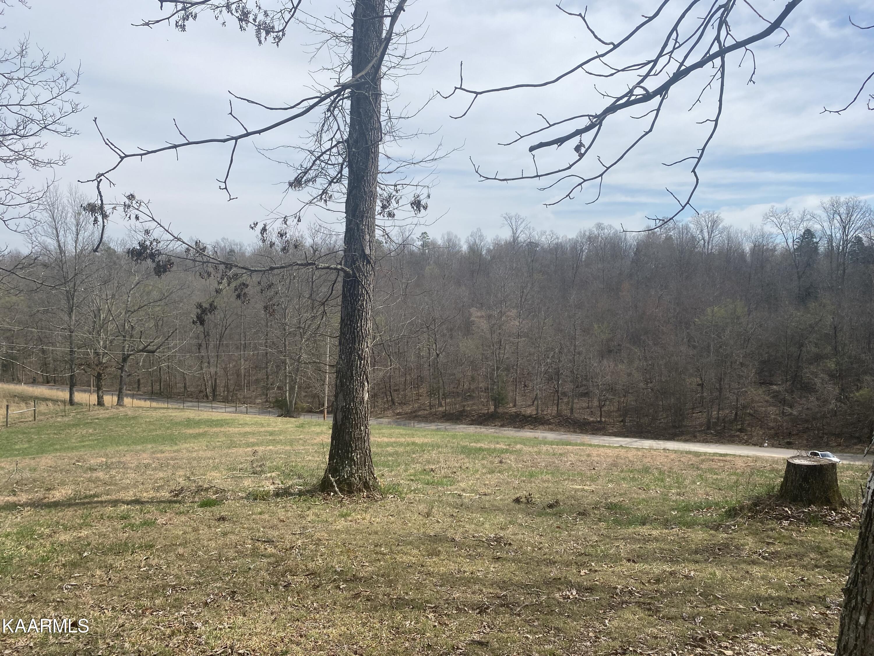 495 Myers Road Kingston, TN 37763 - Photo 15 of 28 IMG-3872