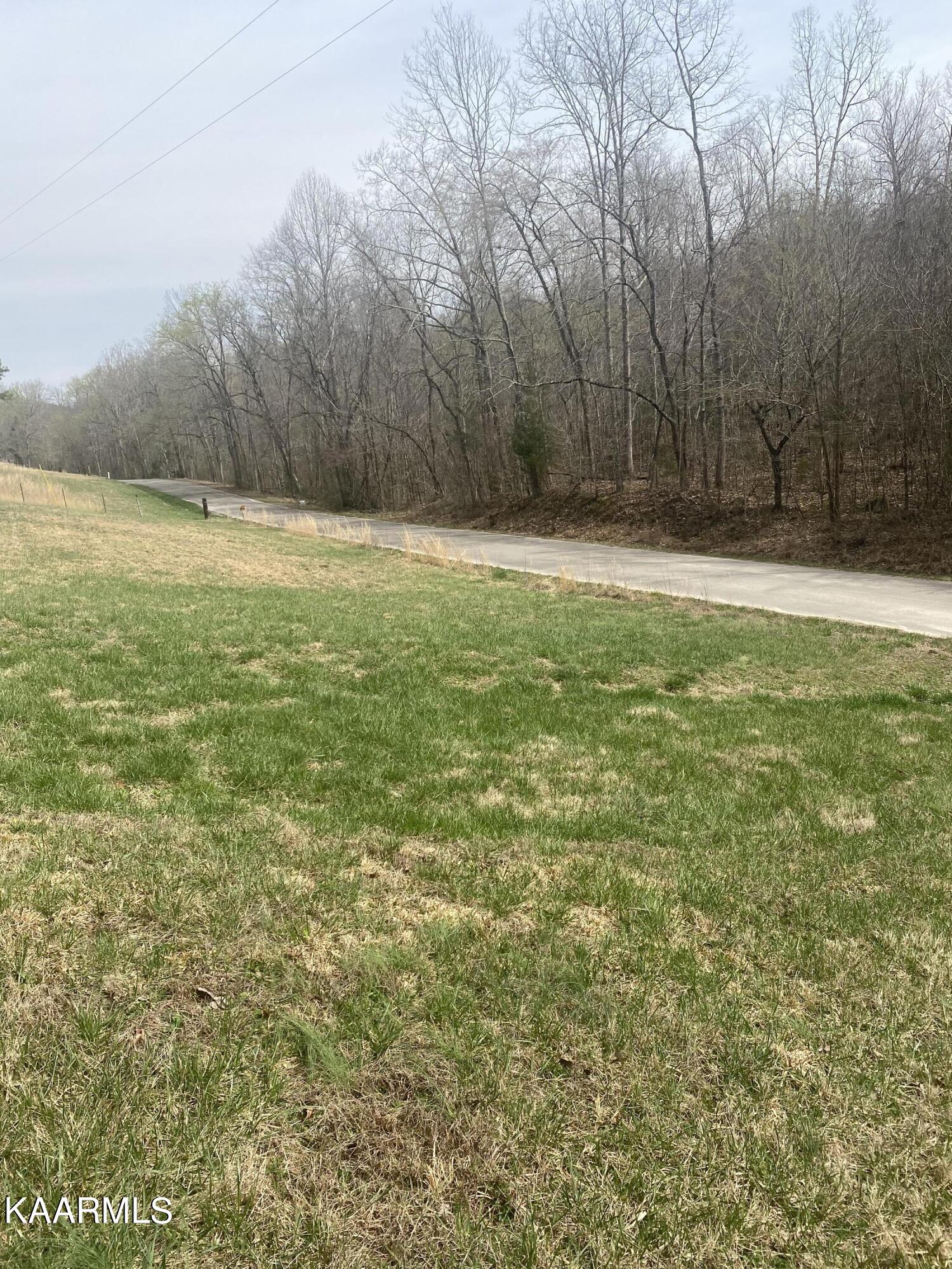 495 Myers Road Kingston, TN 37763 - Photo 6 of 28 IMG-3860