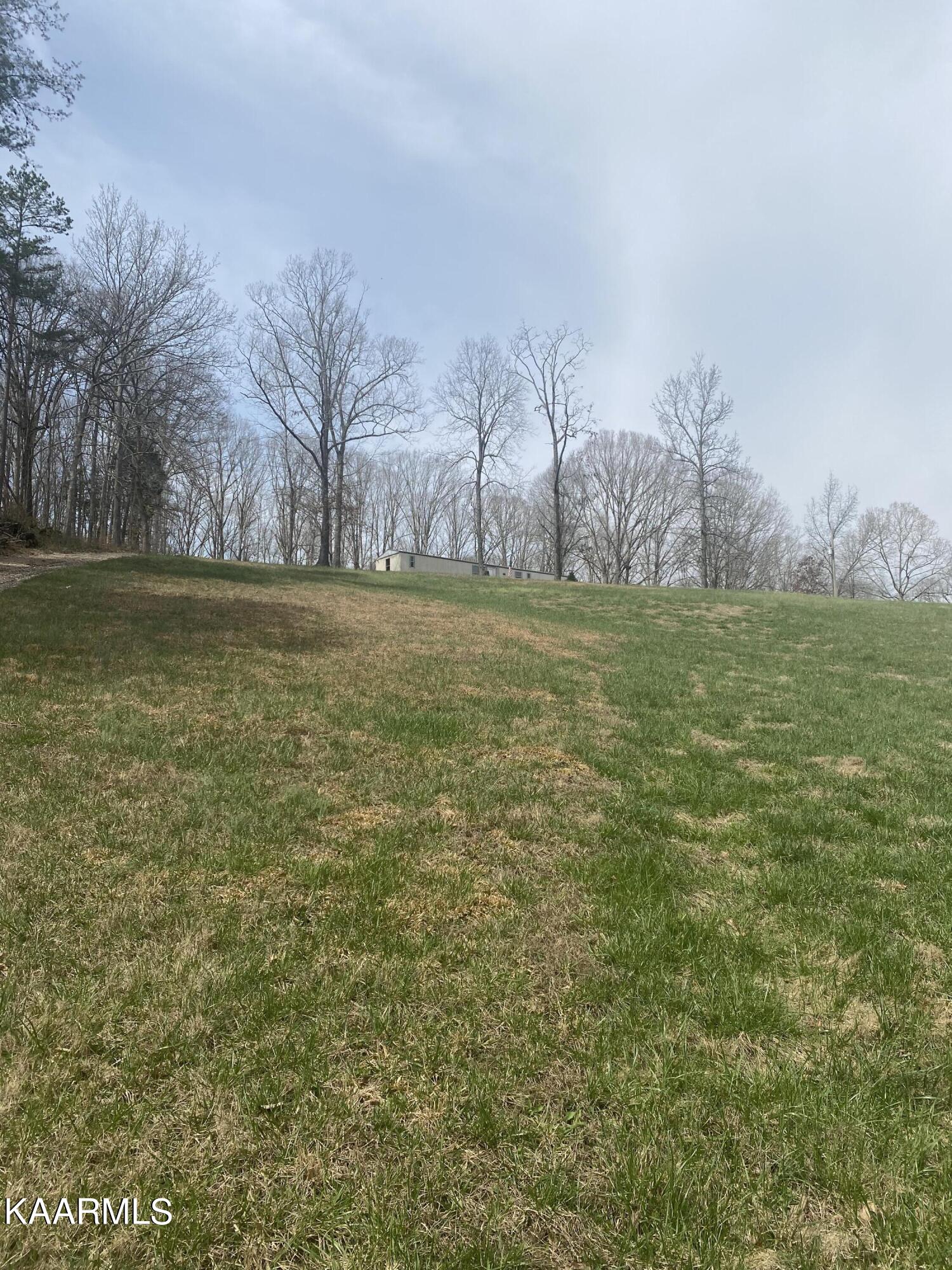 495 Myers Road Kingston, TN 37763 - Photo 7 of 28 IMG-3861