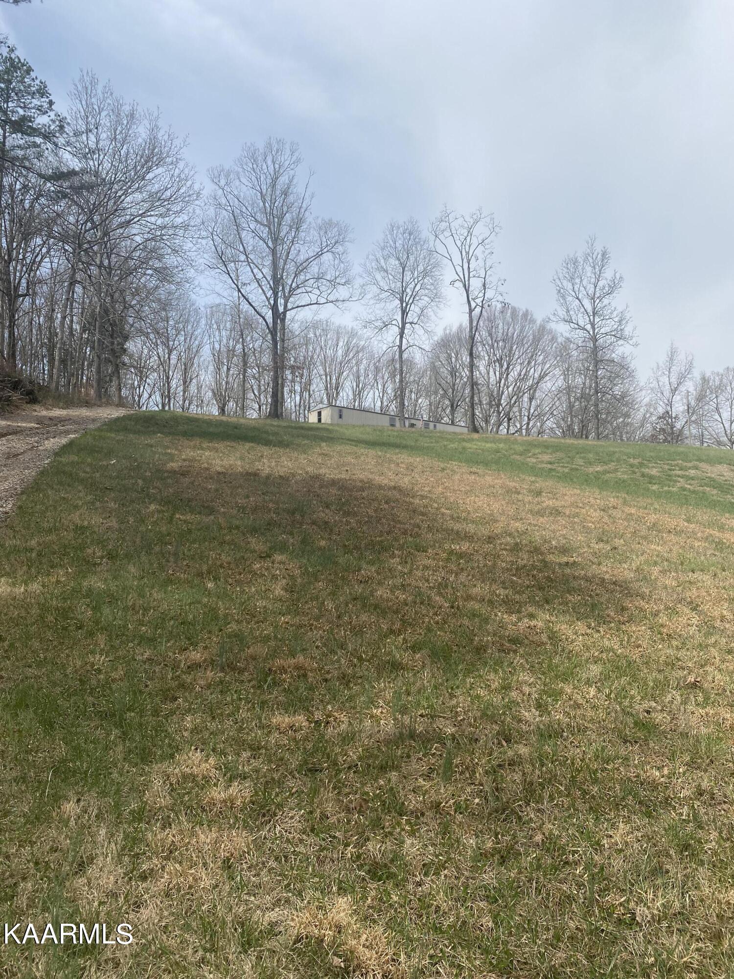 495 Myers Road Kingston, TN 37763 - Photo 8 of 28 IMG-3859