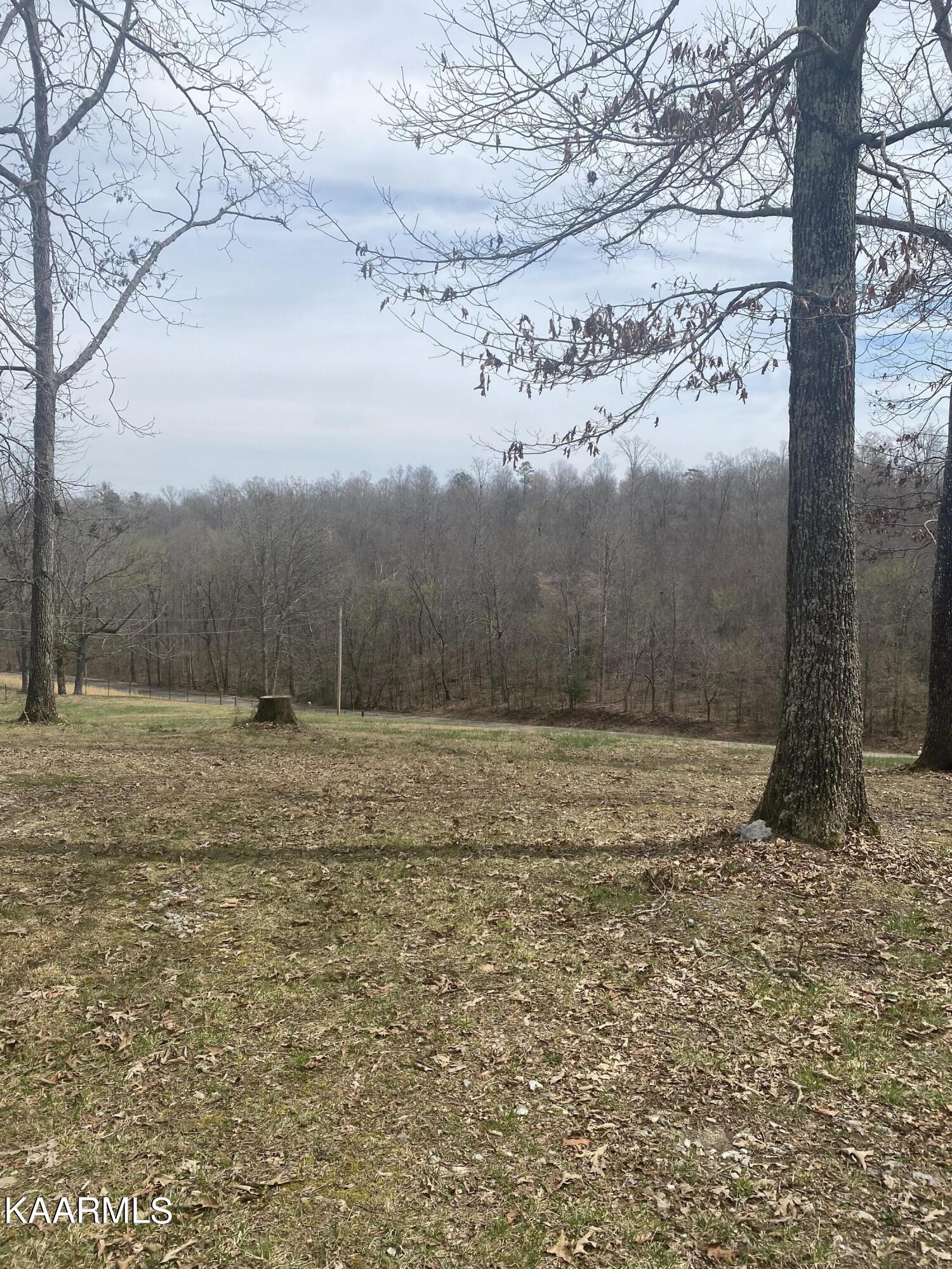 495 Myers Road Kingston, TN 37763 - Photo 9 of 28 IMG-3864
