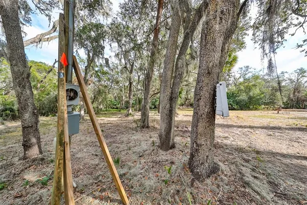 a view of a yard with a tree