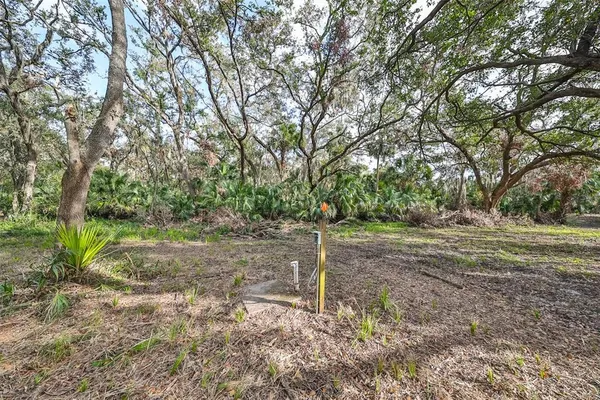 a view of an outdoor space with trees