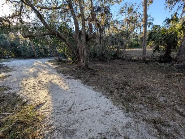 a view of a backyard with large trees
