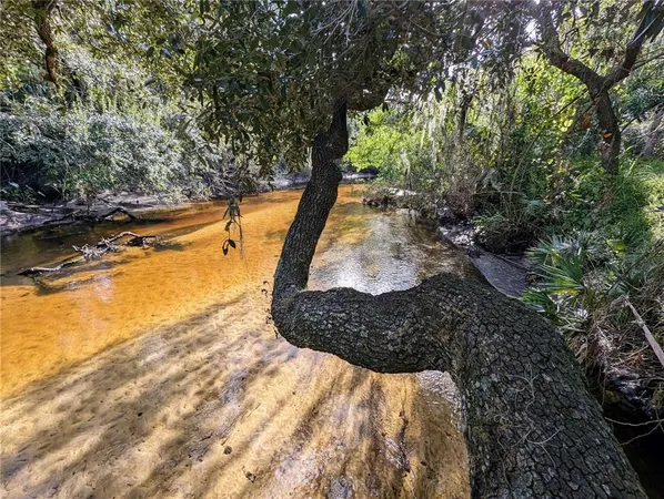 a view of swimming pool from a yard