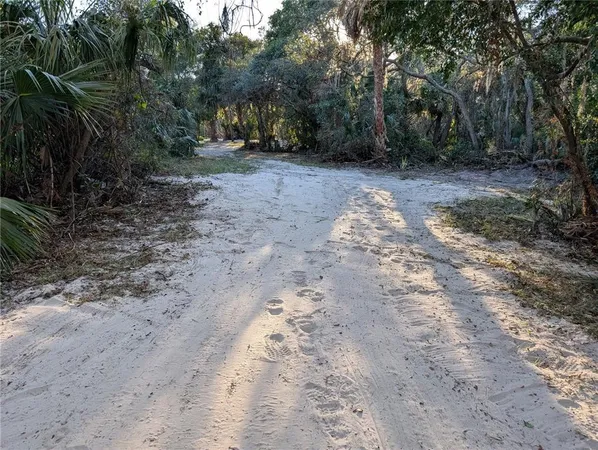 a view of a dirt road with trees in the background