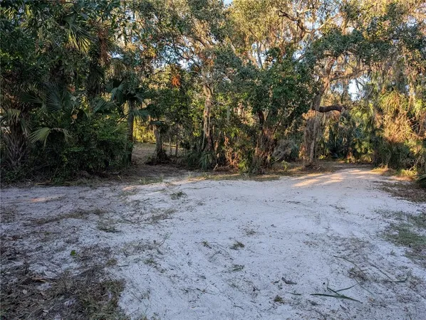 a view of a yard with a tree