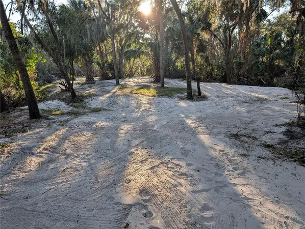 a view of outdoor space with trees