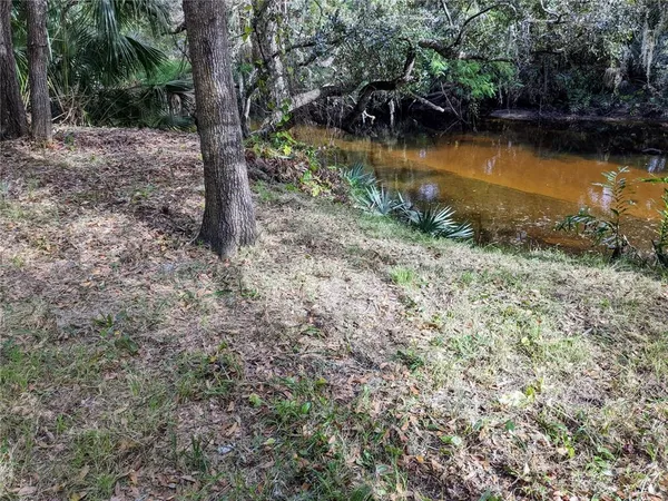 a view of a lake with a tree