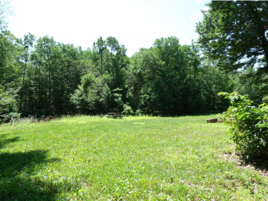 25 Garland Road Strafford, NH 03884 - Photo 2 of 32