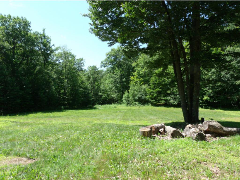 25 Garland Road Strafford, NH 03884 - Photo 3 of 32