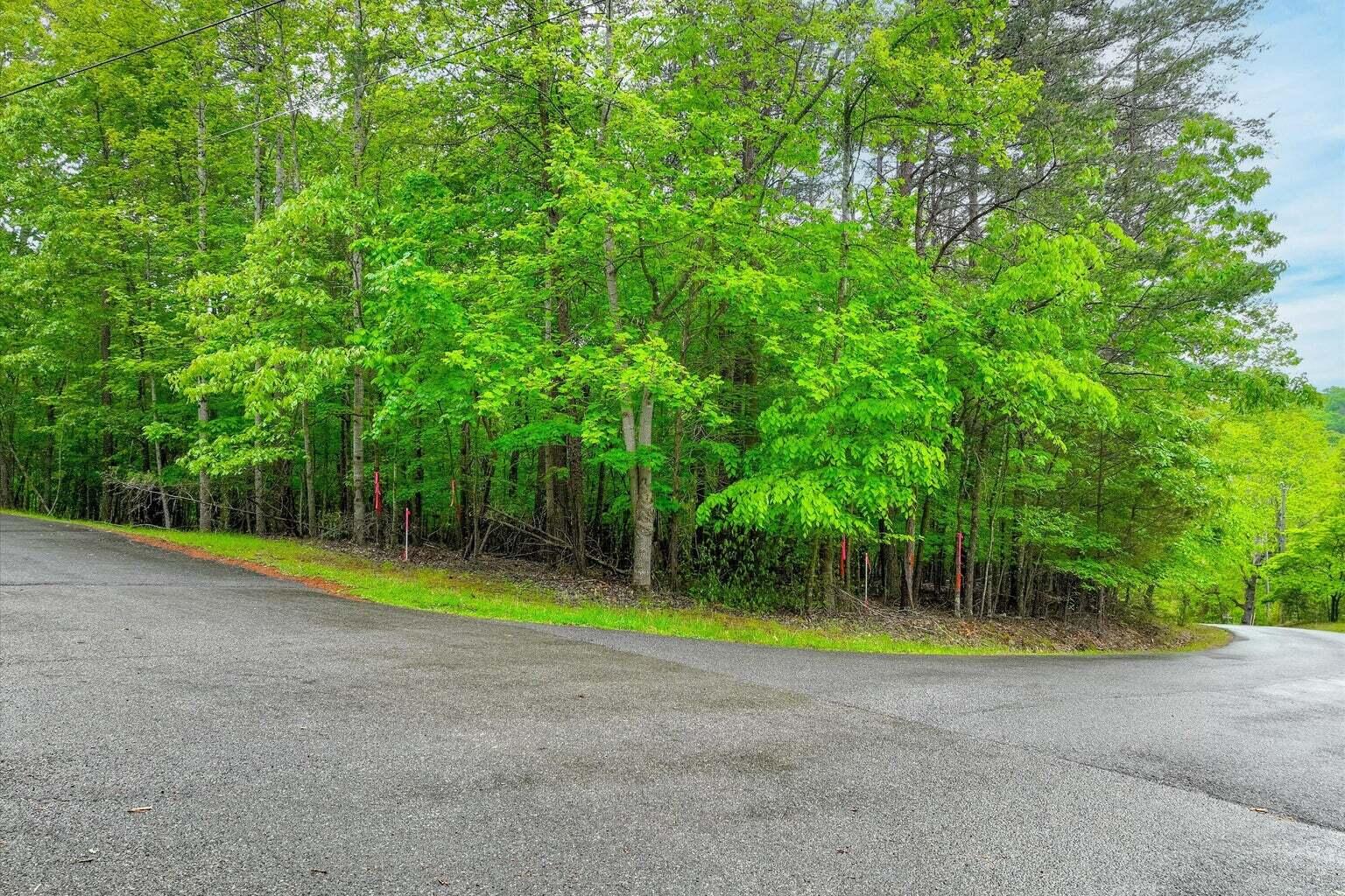 Lot 60 Old Barn Road Moneta, VA 24121 - Photo 12 of 31 20260520134621897192000000-o