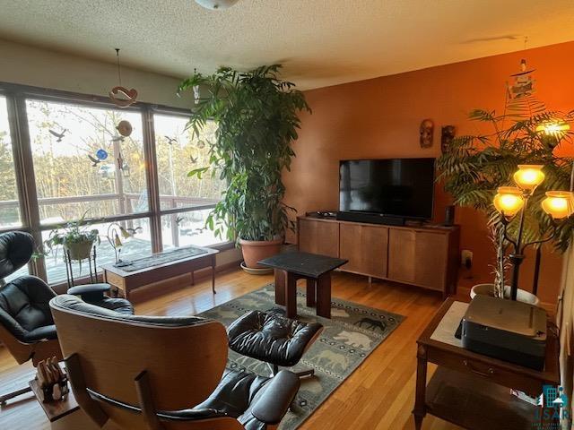 1775 Maple Street Ely, MN 55731 - Photo 7 of 18 Living room featuring a textured ceiling and hardwood / wood-style flooring
