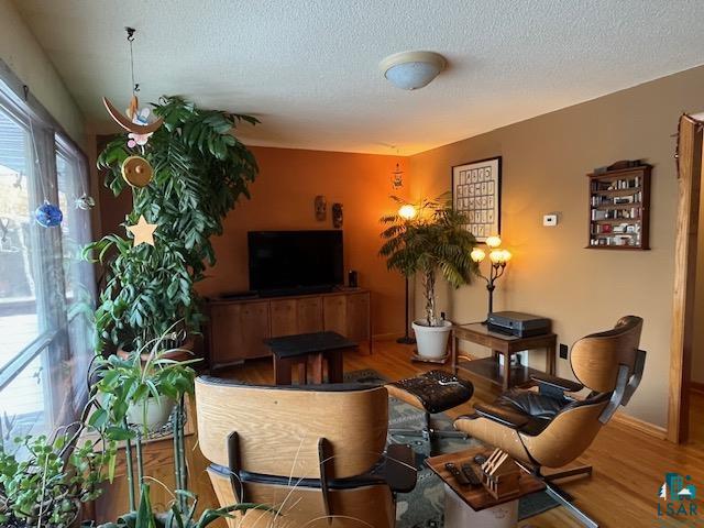 1775 Maple Street Ely, MN 55731 - Photo 8 of 18 Living room with hardwood / wood-style floors and a textured ceiling